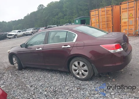 2010 Honda Accord 3.5 Ex-L from USA, damaged, VIN 5KBCP3F89AB013213